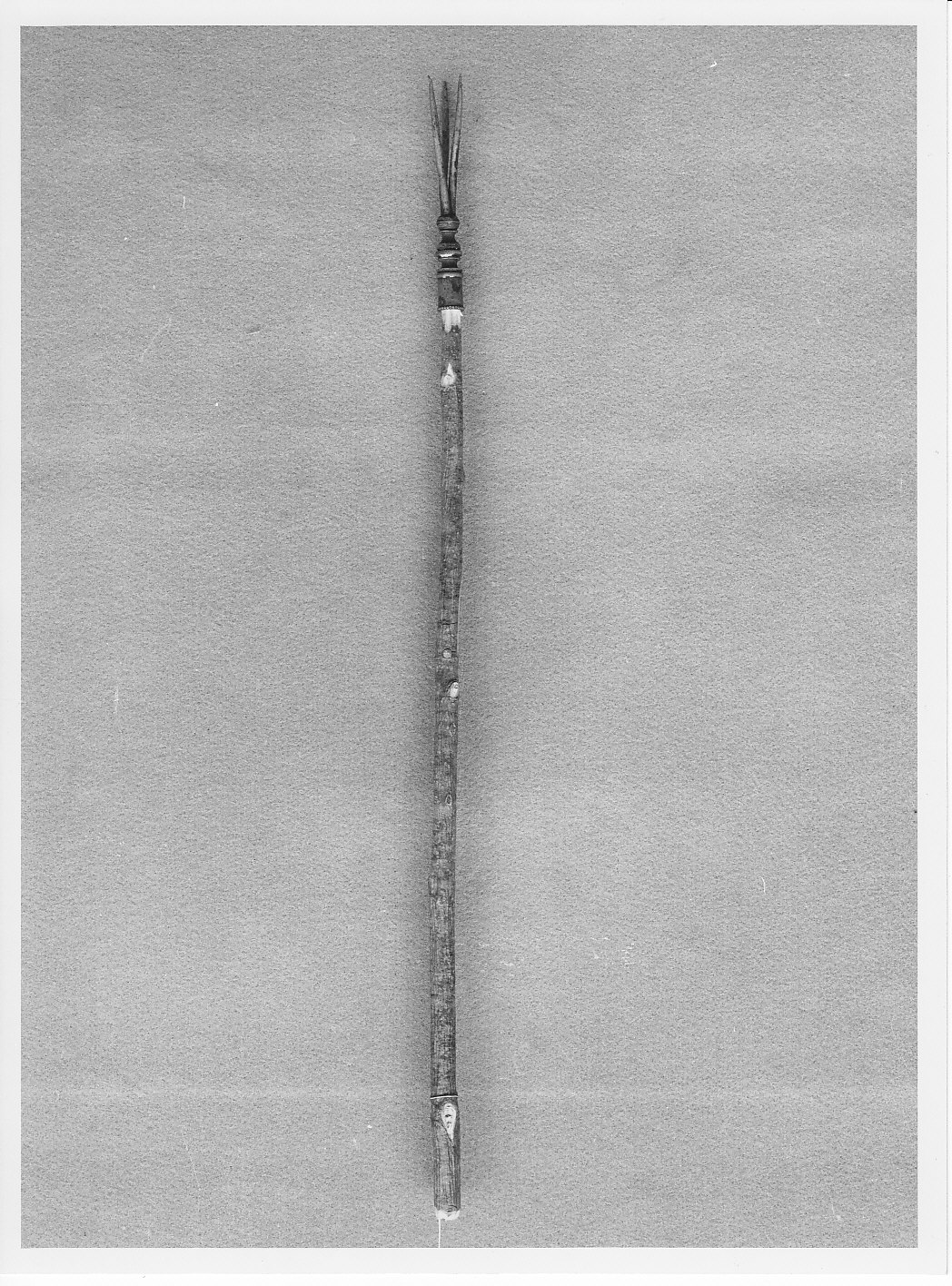 rocca - bottega (sec. XIX)