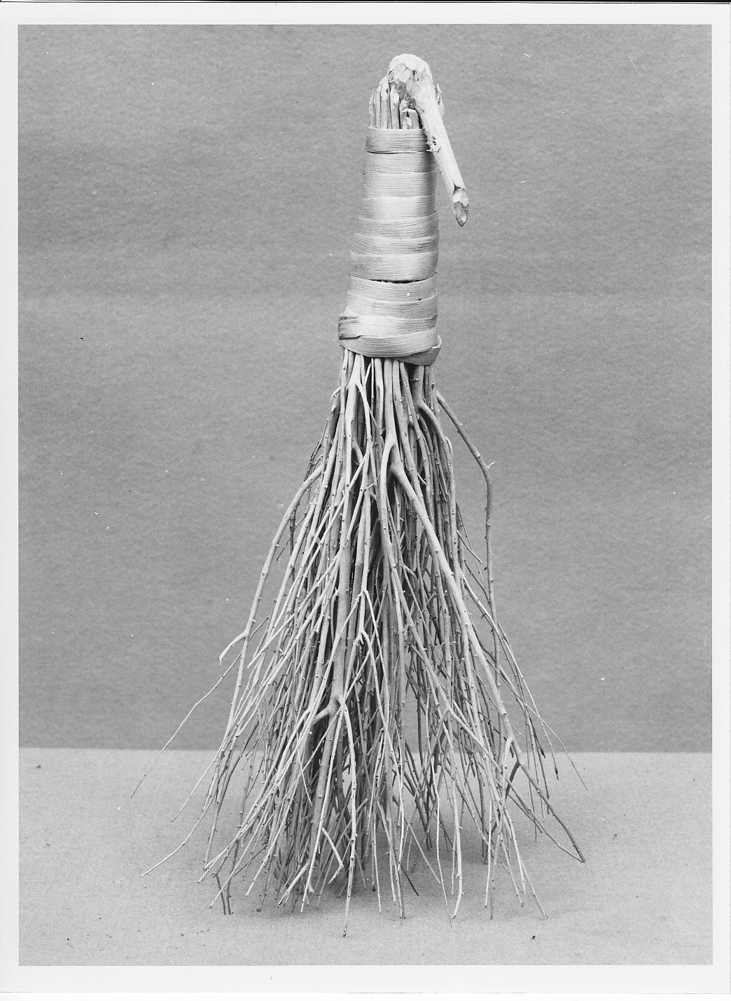 scopetta - bottega (sec. XIX)