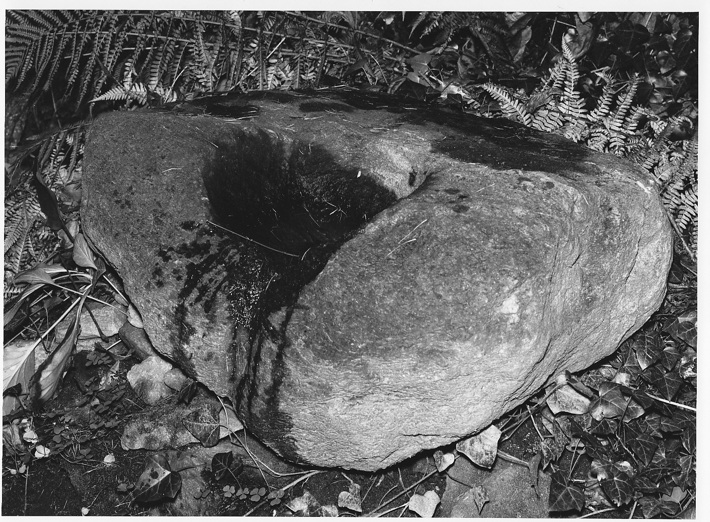 mortaio - bottega (sec. XIX)