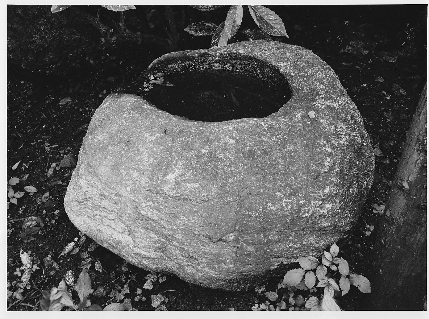 mortaio - bottega (sec. XIX)