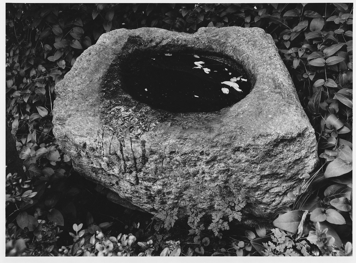 mortaio - bottega (sec. XIX)