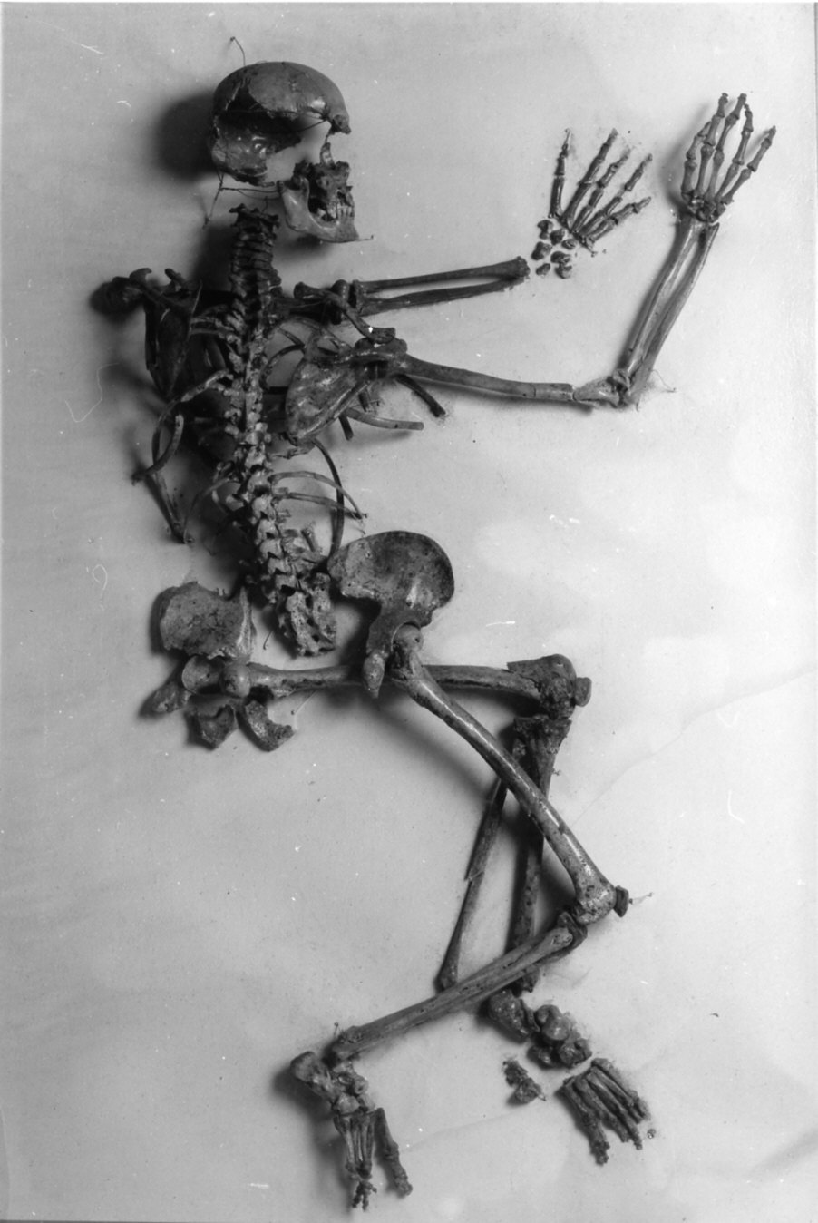 non rilevato (scheletro) - ambito (sec. XVI)