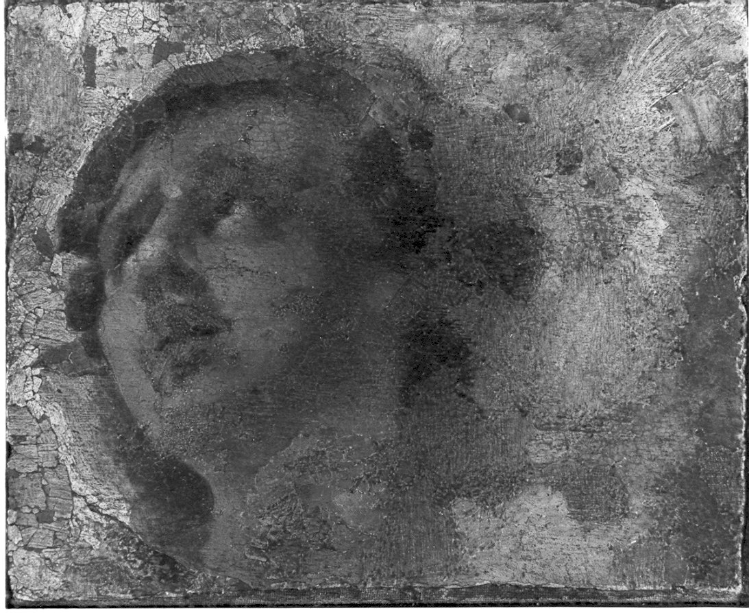 testa d'angelo (dipinto, frammento) - ambito parmense (sec. XVII)