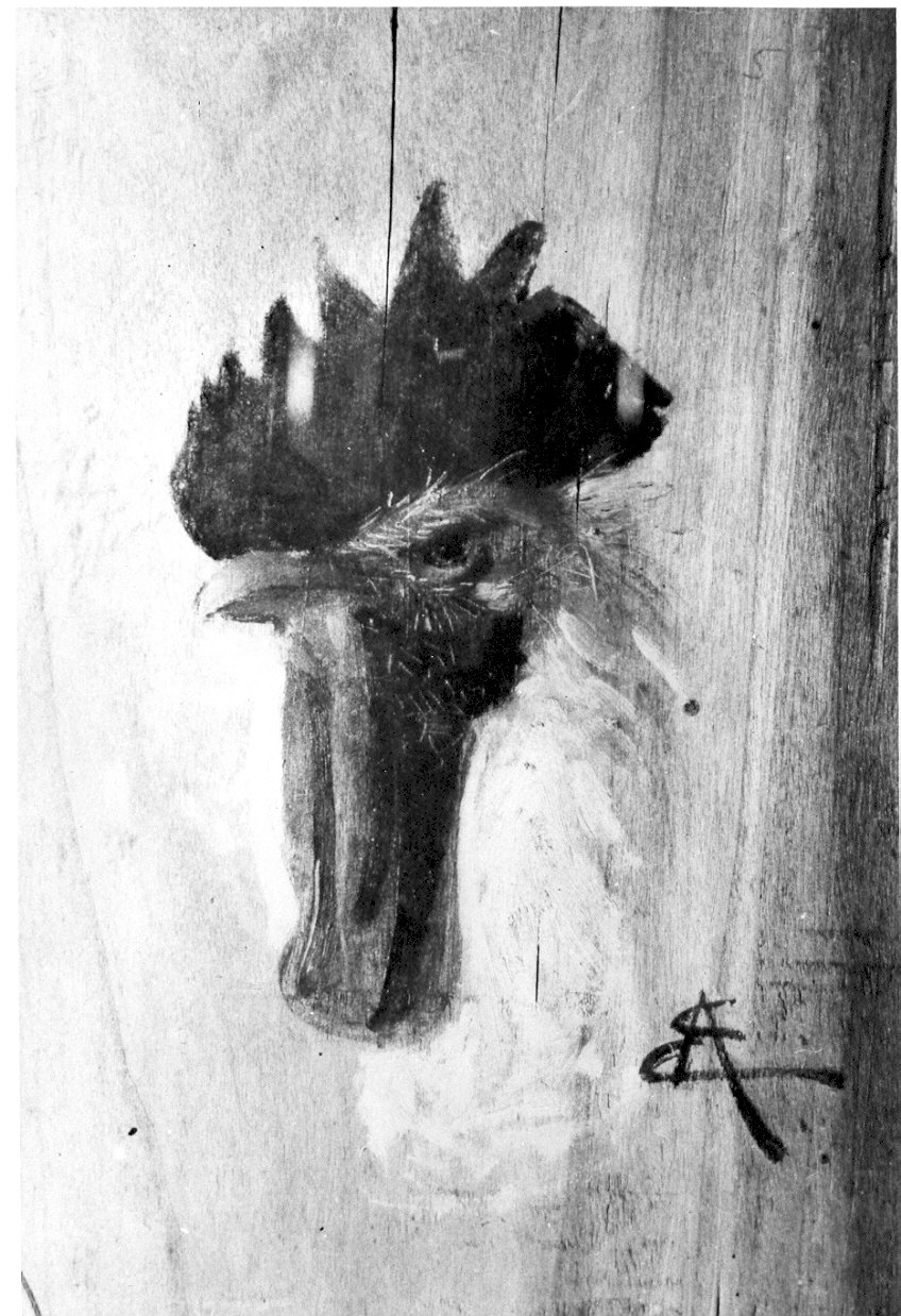 vecchio gallo (dipinto, opera isolata) di Acerbi Ezechiele (sec. XIX)