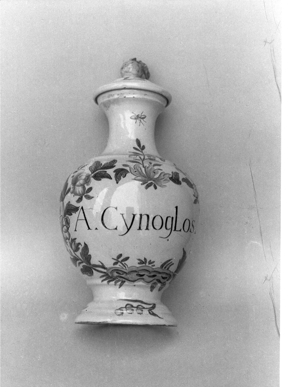 albarello, opera isolata - manifattura pavese (sec. XVIII)