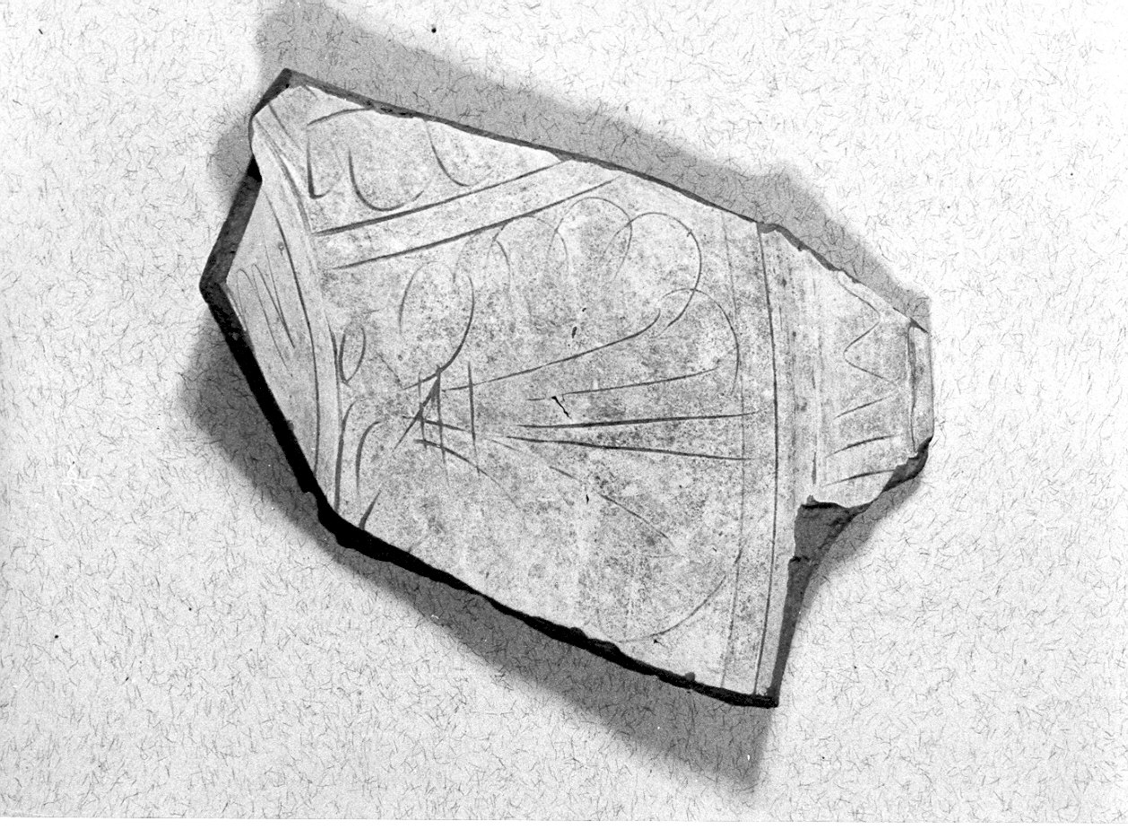 catino, frammento - manifattura pavese (sec. XVI)