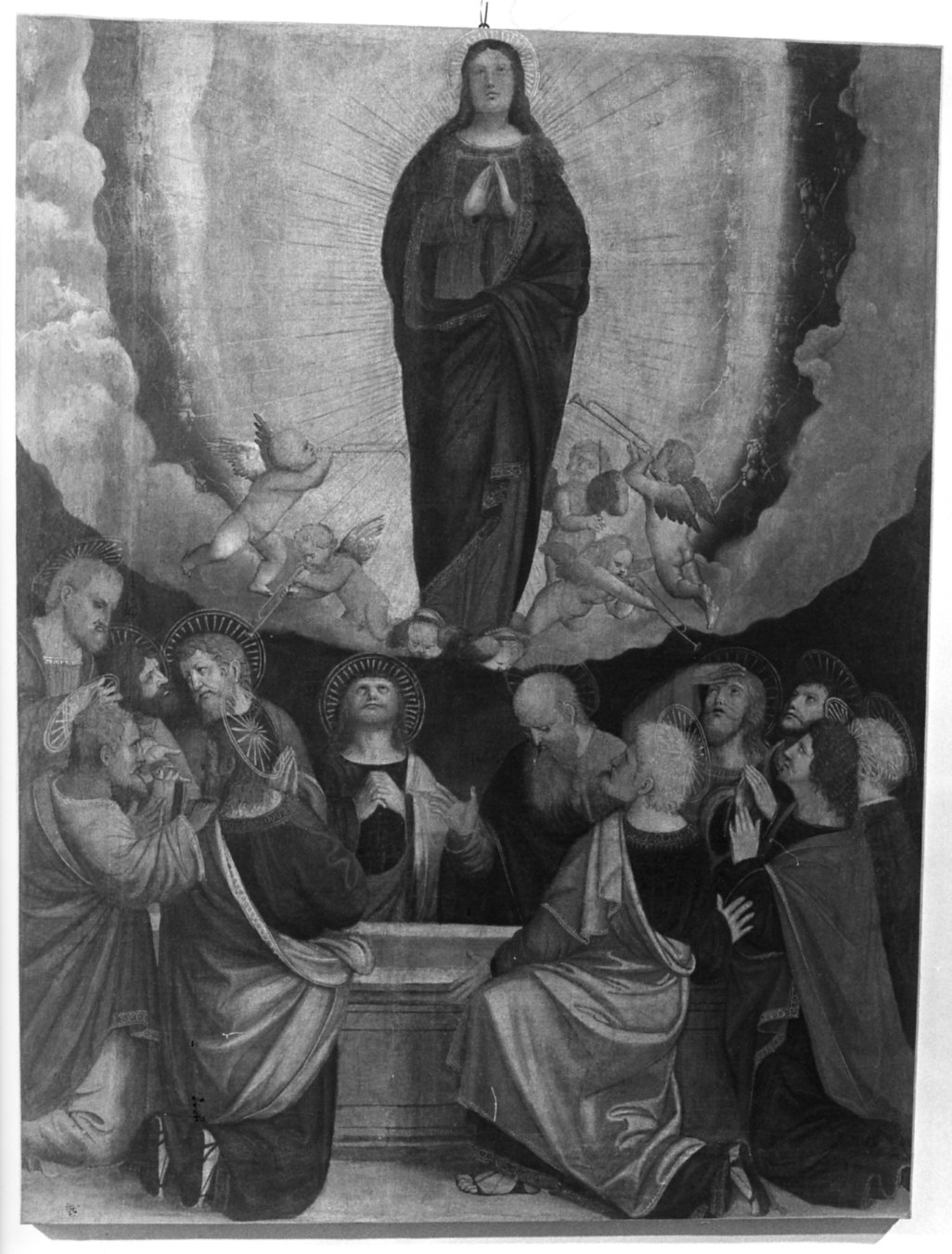 assunzione della Madonna (dipinto, opera isolata) di Ferrari Gaudenzio (bottega) (secondo quarto sec. XVI)