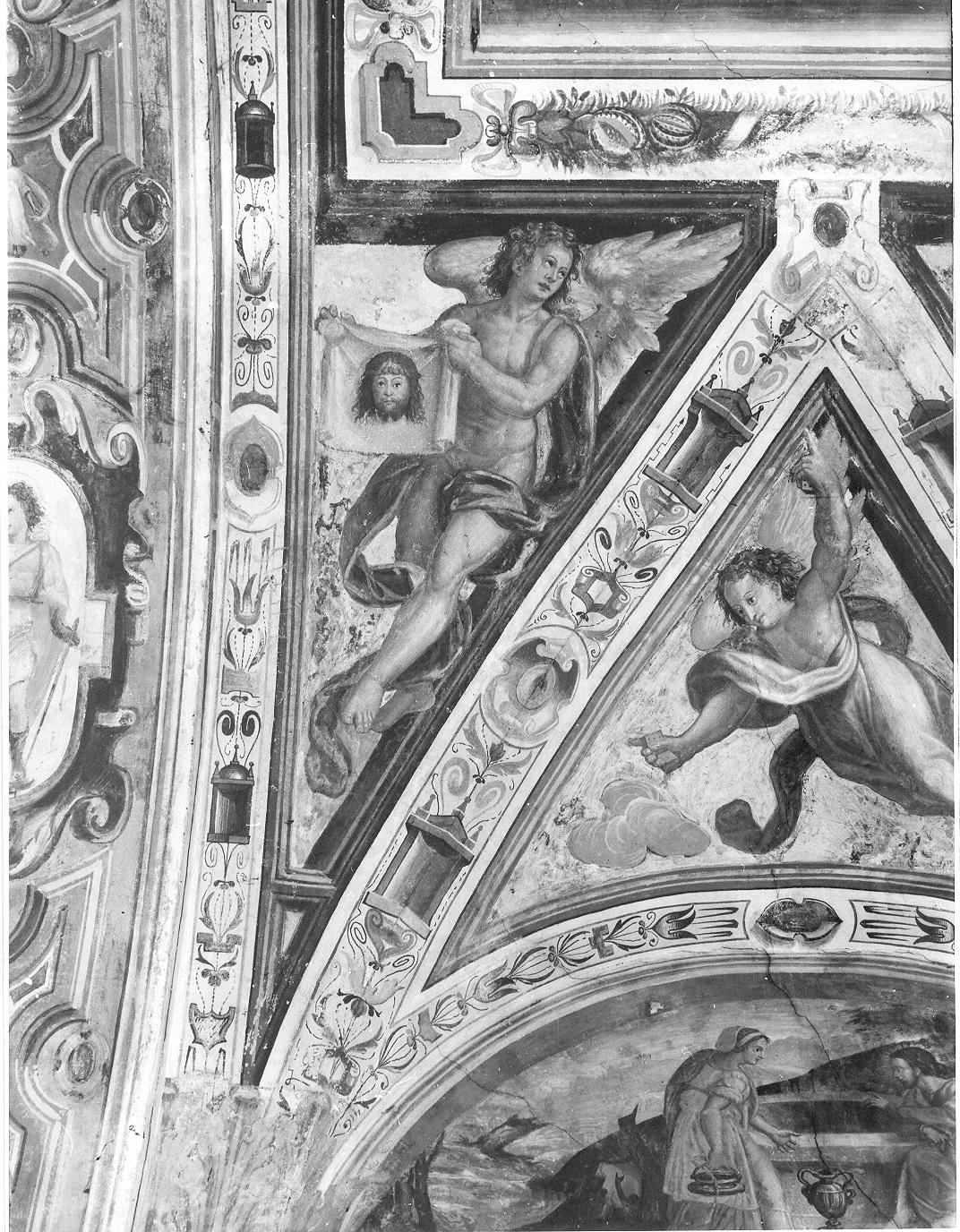 angelo reggente il velo della Veronica (dipinto, elemento d'insieme) di Guaita Francesco (attribuito), Baruta Abbondio (attribuito) (sec. XVI)