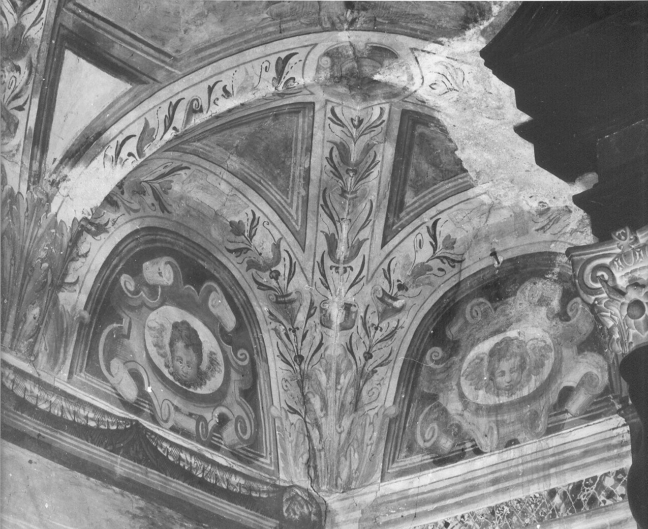 decorazione e angeli (dipinto, elemento d'insieme) di Guaita Francesco (attribuito), Baruta Abbondio (attribuito) (sec. XVI)