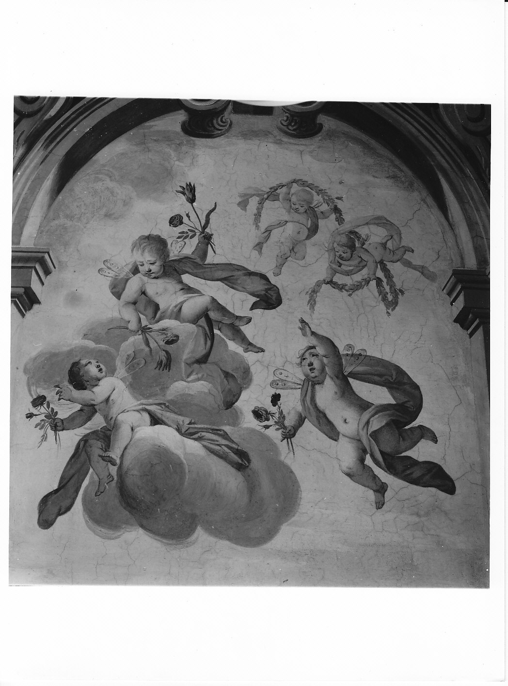 putti con fiori e ali di libellula (dipinto murale, elemento d'insieme) di Bianchi Federico (attribuito) (fine sec. XVII)