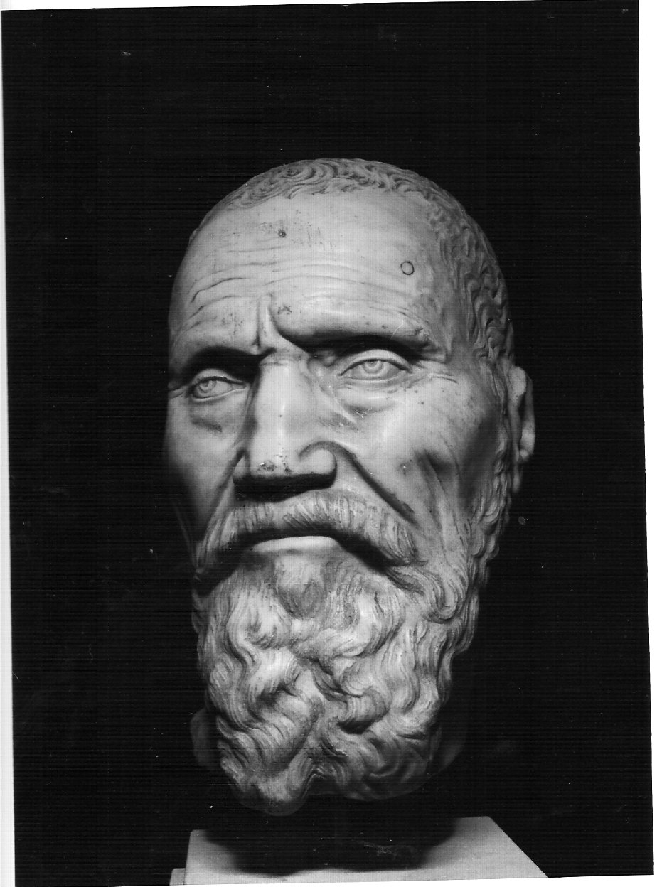 autoritratto di Michelangelo Buonarroti (statua, frammento) di Buonarroti Michelangelo (attribuito) (sec. XVI)