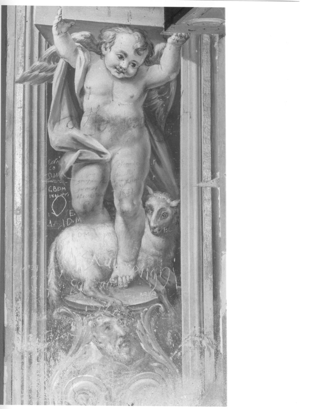 angioletto telamone (dipinto, elemento d'insieme) di Della Rovere Giovanni Mauro detto Fiamminghino (attribuito) (sec. XVII)