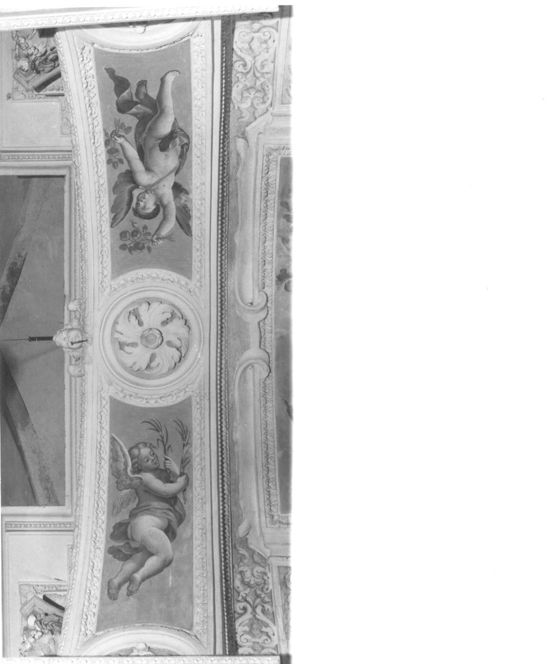 angeli con palme del martirio e rose (dipinto, elemento d'insieme) di Caracciolo di Vercana (attribuito) (seconda metà sec. XVII)