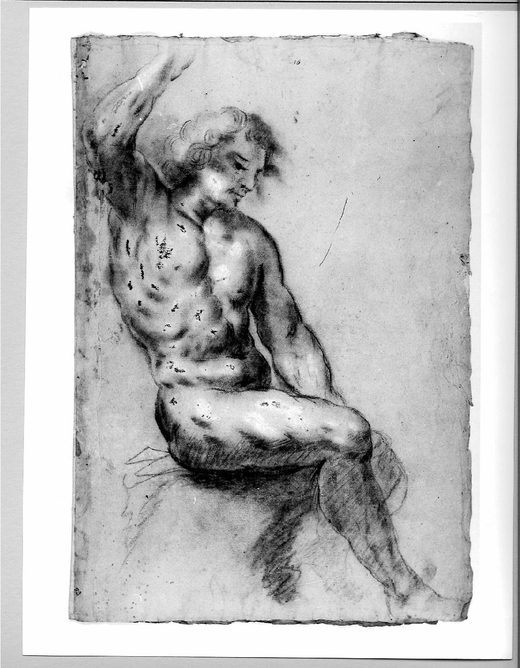 giovane nudo (disegno) di Brunacci Pier Paolo (attribuito) (seconda metà sec. XVII)
