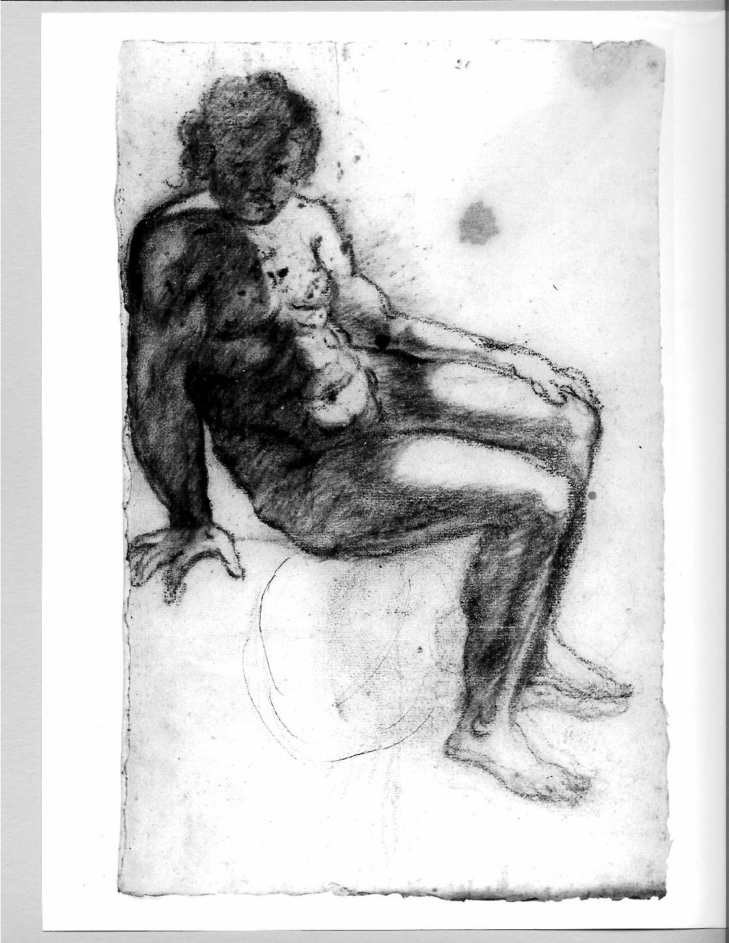 giovane nudo (disegno) di Brunacci Pier Paolo (seconda metà sec. XVII)
