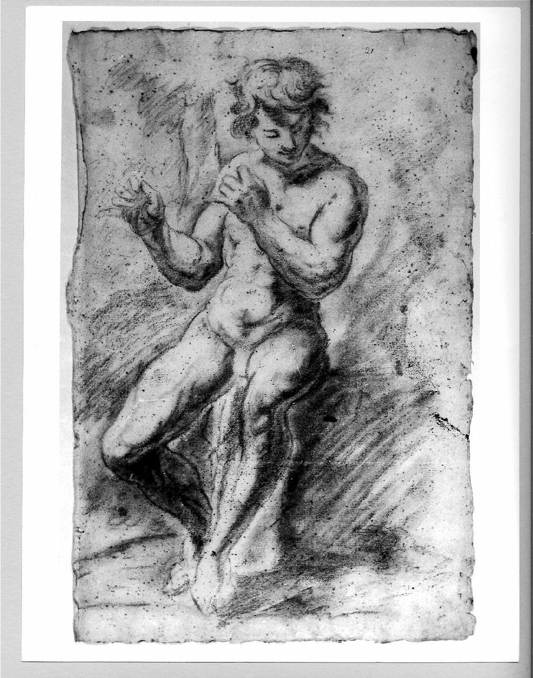 giovane nudo (disegno) di Brunacci Pier Paolo (seconda metà sec. XVII)