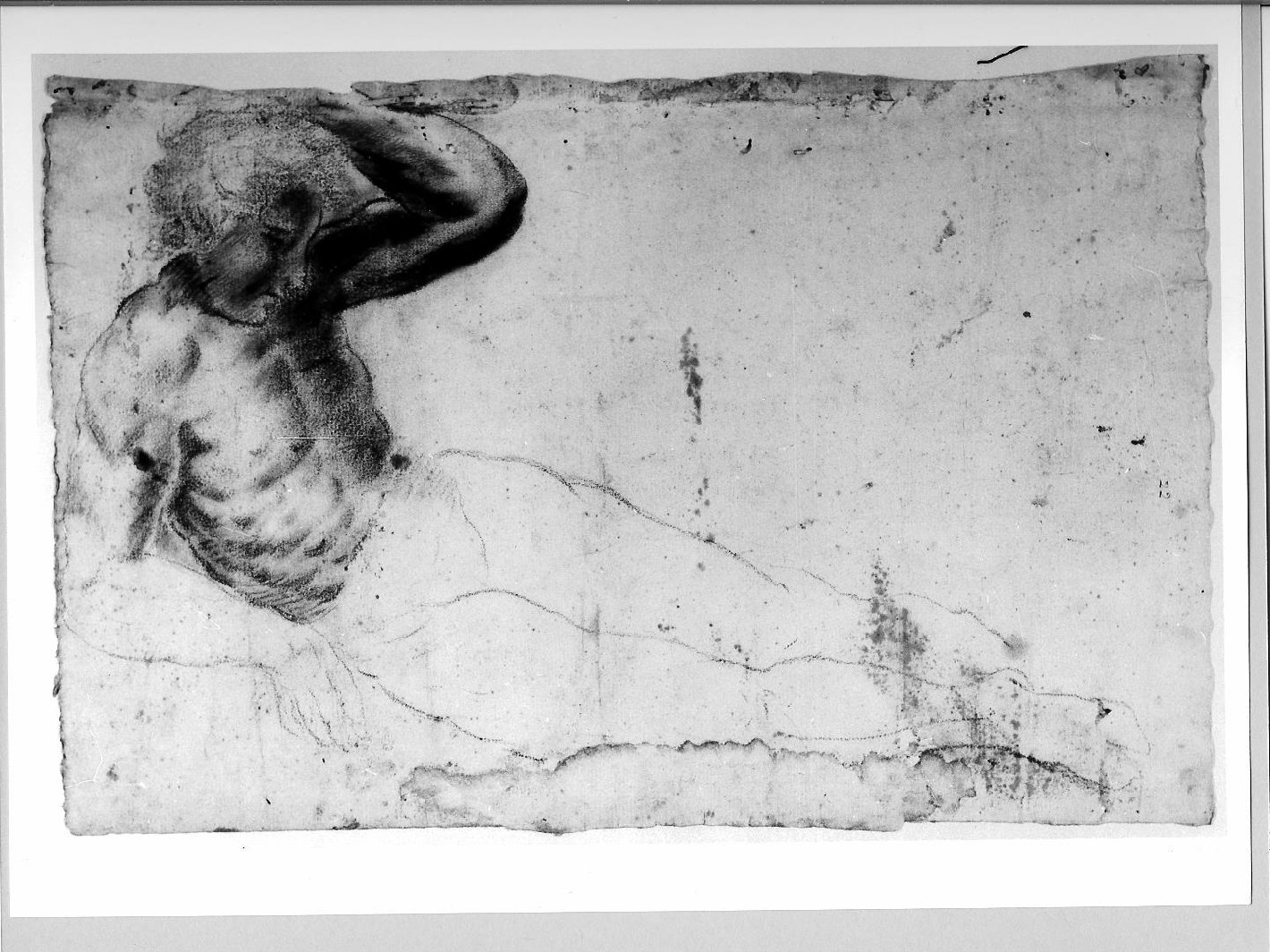 nudo virile (disegno) di Brunacci Pier Paolo (seconda metà sec. XVII)