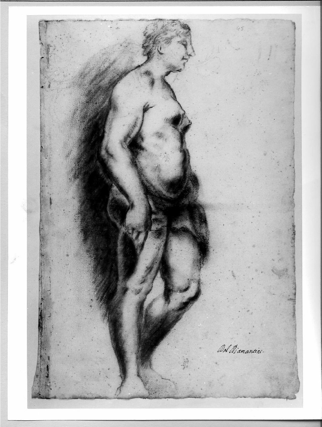nudo femminile (disegno) di Brunacci Pier Paolo (seconda metà sec. XVII)