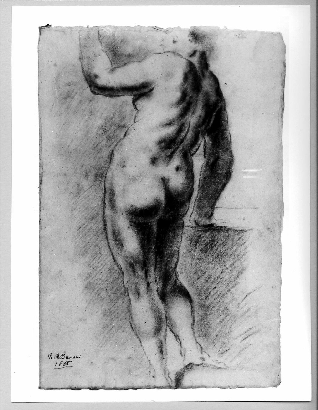 nudo femminile (disegno) di Brunacci Pier Paolo (sec. XVII)