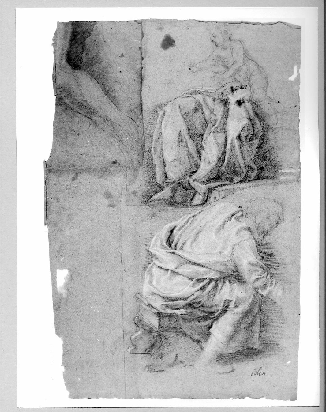 gamba (disegno) di Carsidoni Francesco (attribuito) (sec. XVII)