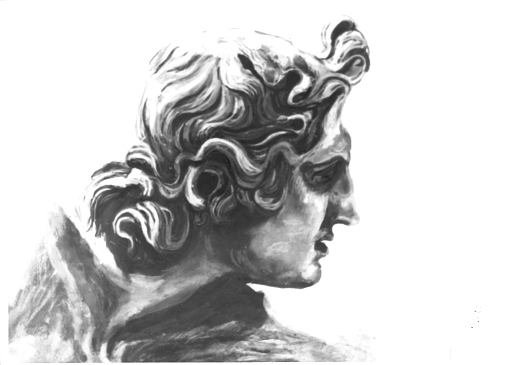testa d'uomo (disegno) di Gemito Vincenzo (secc. XIX/ XX)