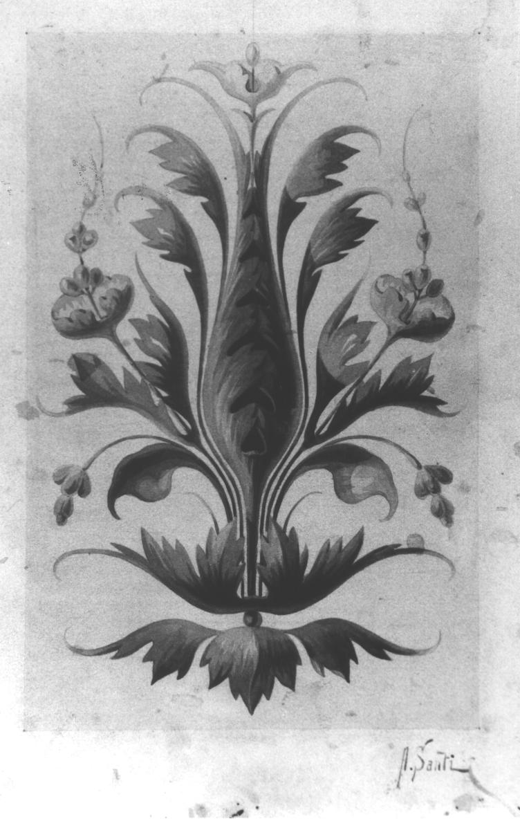 motivo decorativo floreale (disegno) di Santi Archimede (sec. XIX)