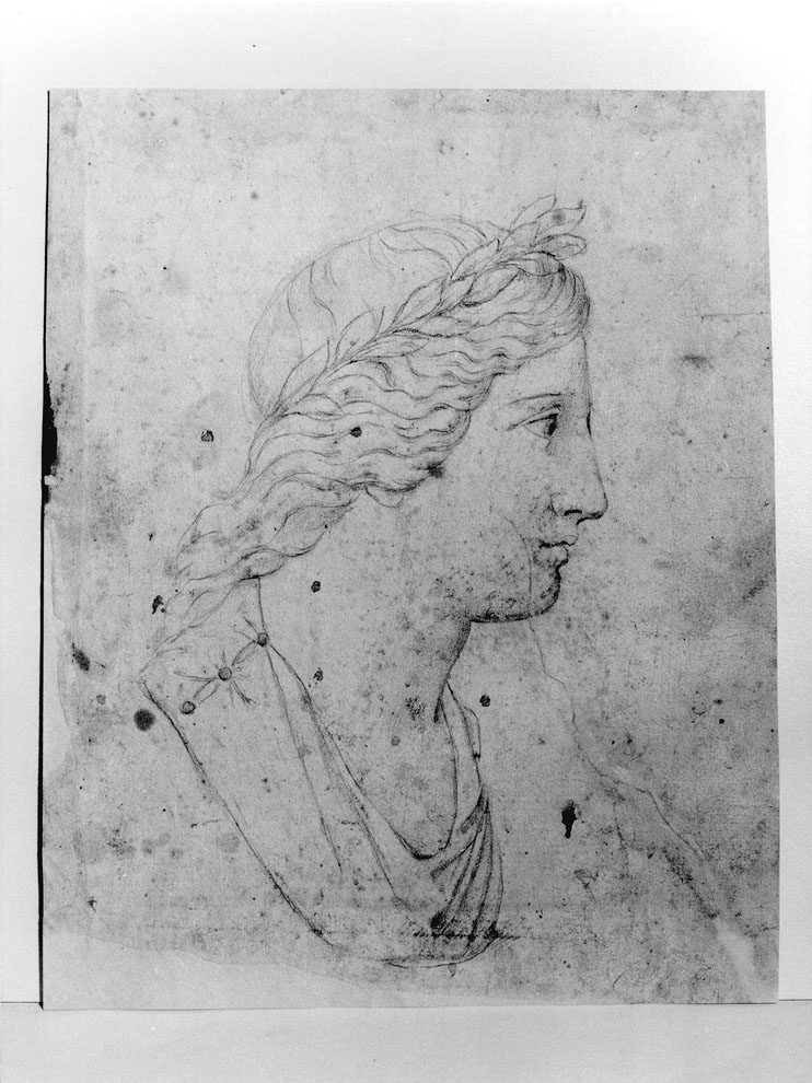 testa di giovane (disegno) di Mastini V (fine/inizio secc. XVIII/ XIX)