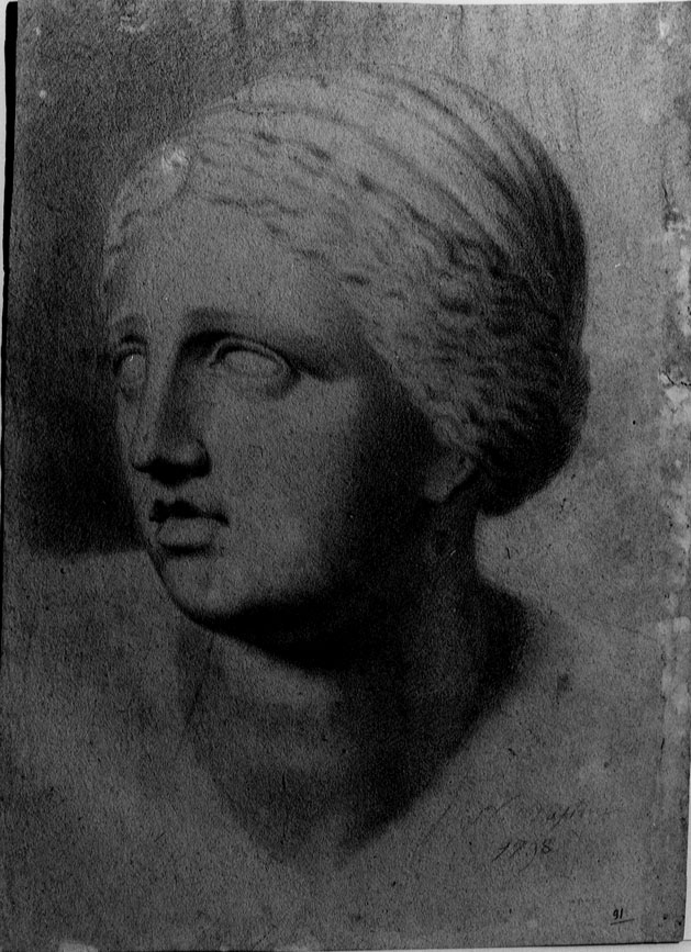 testa di donna (disegno) di Mastini V (sec. XVIII)
