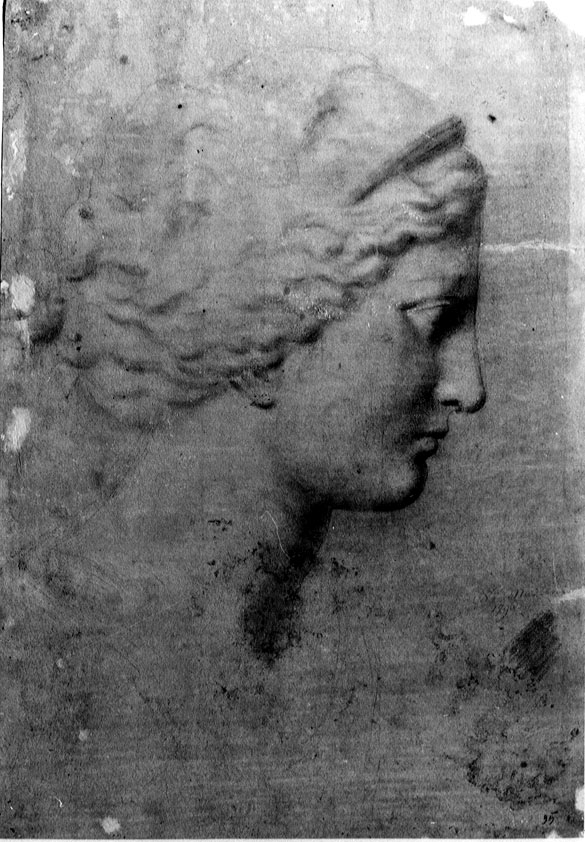 testa di donna di profilo (disegno) di Mastini V (sec. XVIII)
