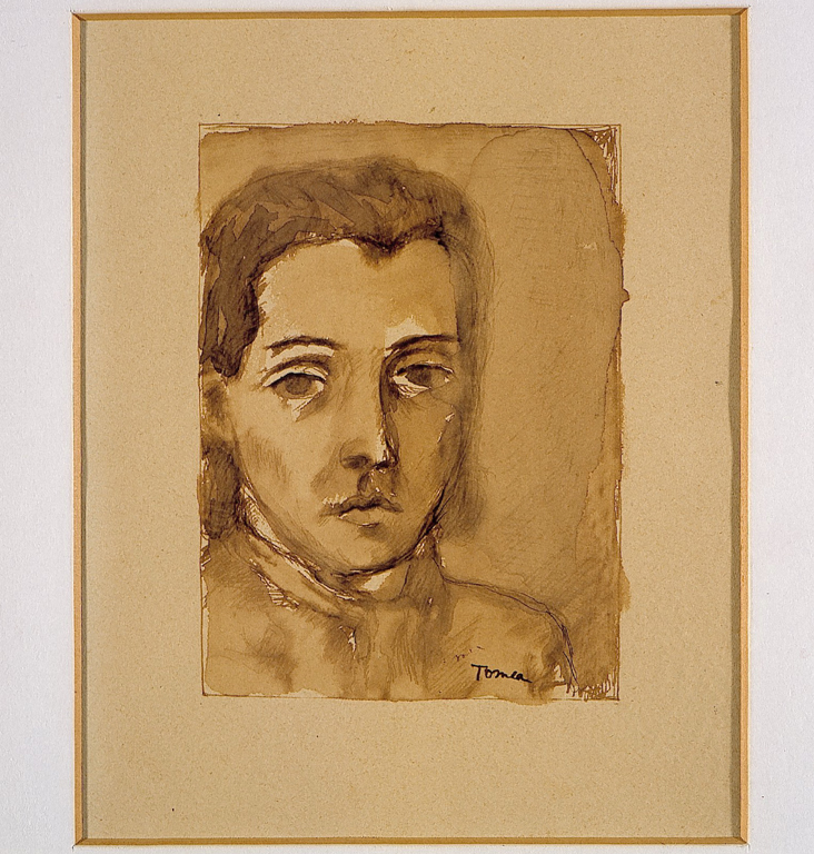 Viso di donna, ritratto di giovane donna (disegno) di Tomea Fiorenzo (metà sec. XX)