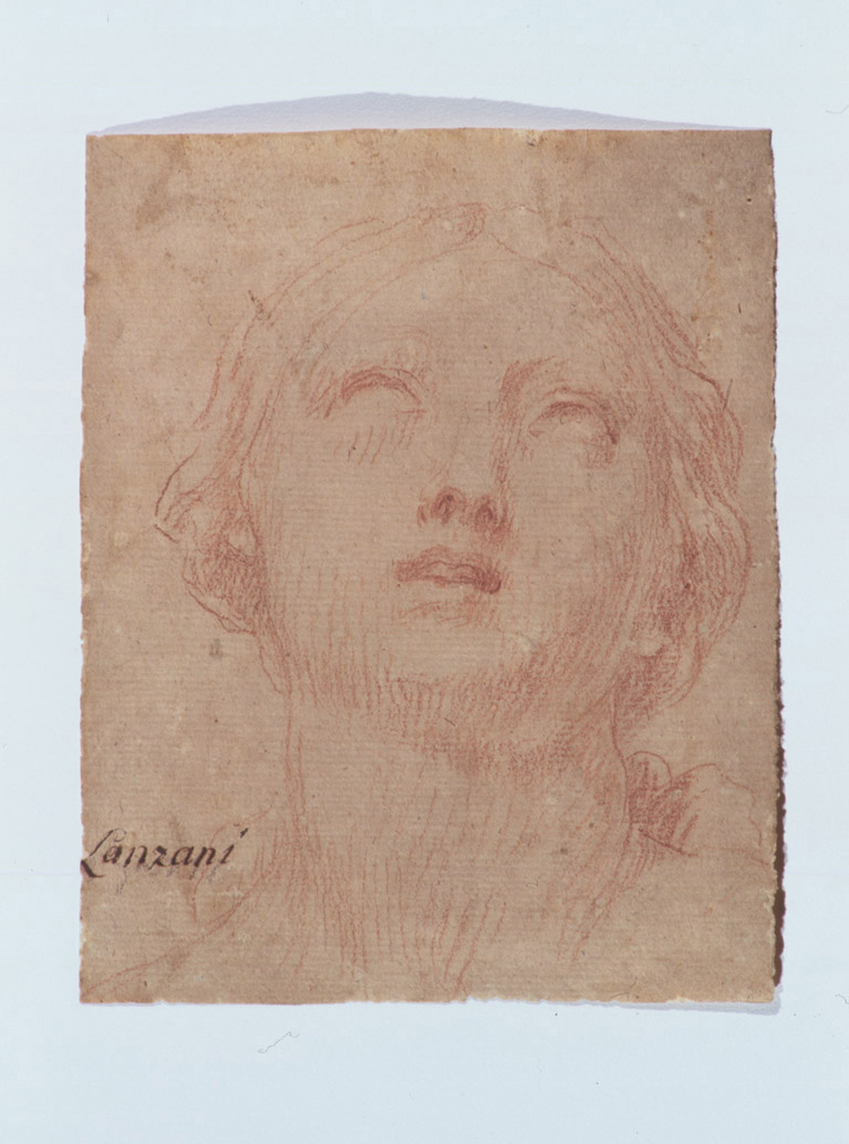 testa di donna (disegno, opera isolata) di Lanzani Andrea (attribuito) (seconda metà sec. XVII)