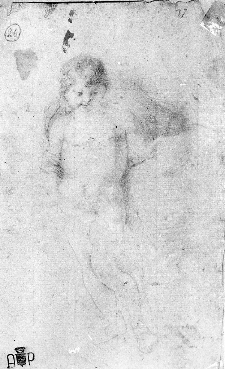 angelo (disegno) di Palucci Carlo (secc. XVII/ XVIII)