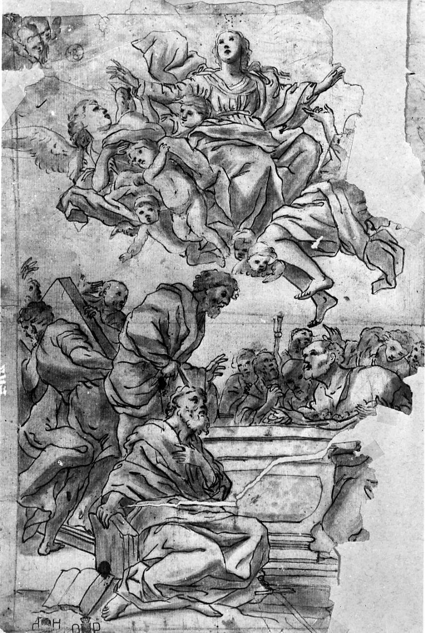 Assunzione della Madonna (disegno) di Fabiani Ferdinando (secc. XVII/ XVIII)