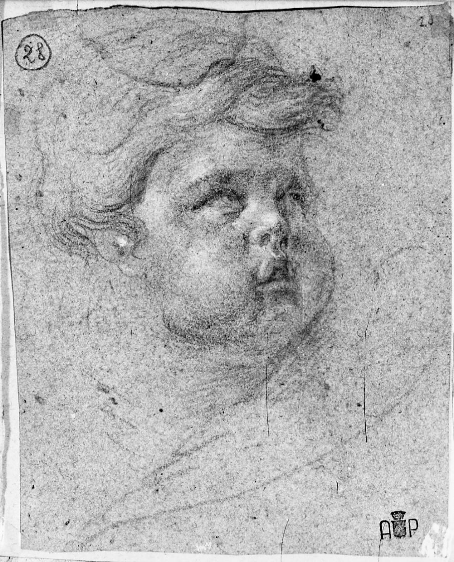 cherubino (disegno) di Nardini Tommaso (secc. XVII/ XVIII)