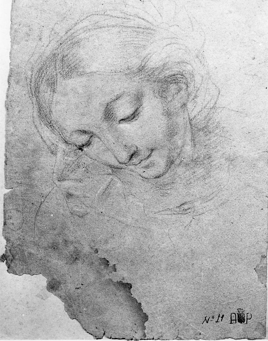 Madonna (disegno) di Palucci Carlo (secc. XVII/ XVIII)