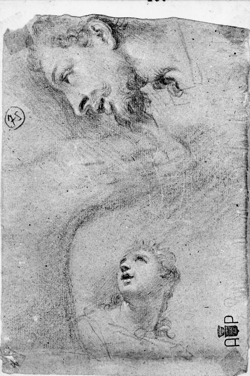 testa di Santa regina, testa d'uomo di profilo (disegno) di Palucci Carlo (secc. XVII/ XVIII)
