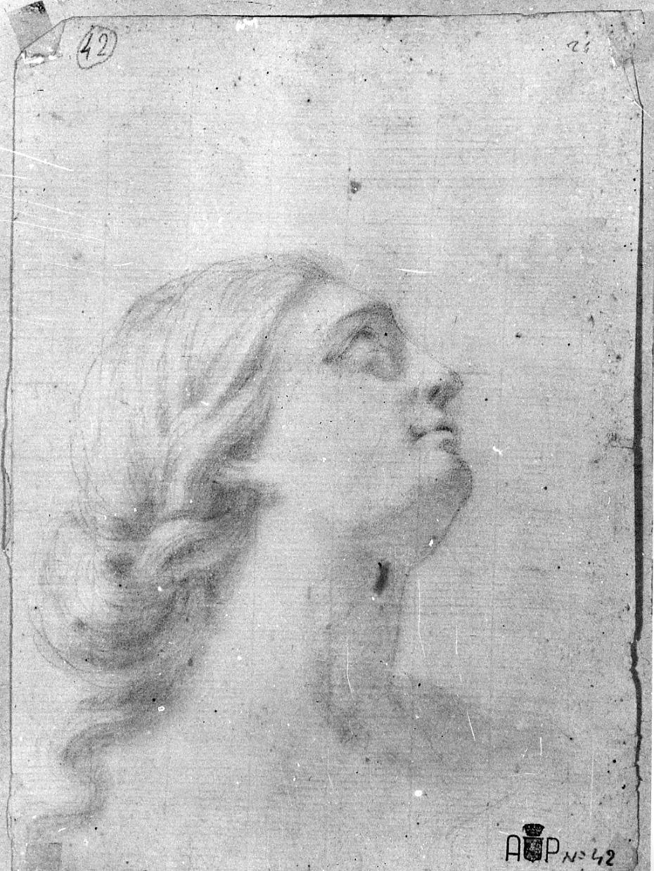 testa di donna (disegno) di Palucci Carlo (secc. XVII/ XVIII)