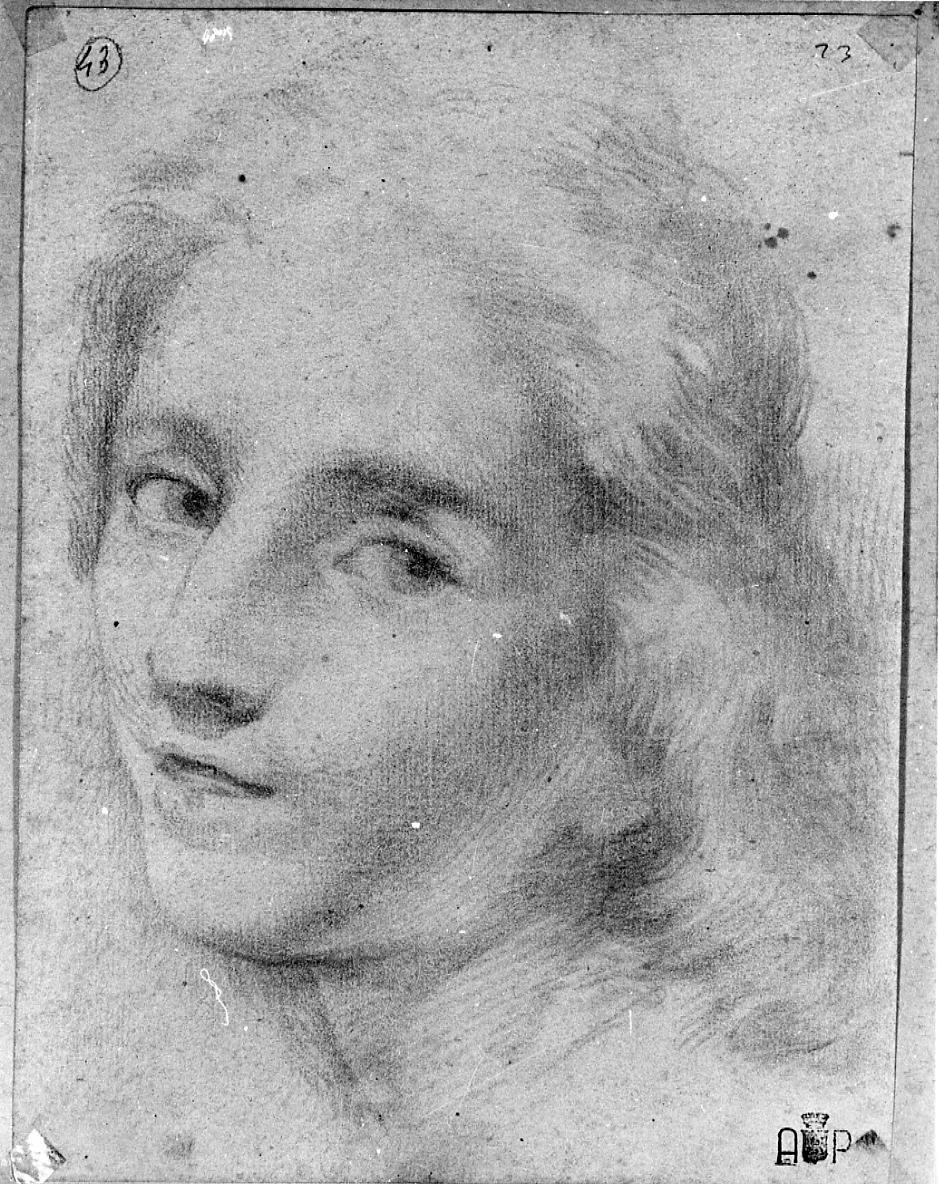 testa di donna (disegno) di Palucci Carlo (secc. XVII/ XVIII)