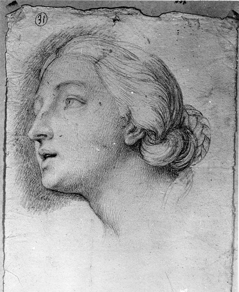 testa di donna (disegno) di Monti Nicola Antonio (sec. XVIII)