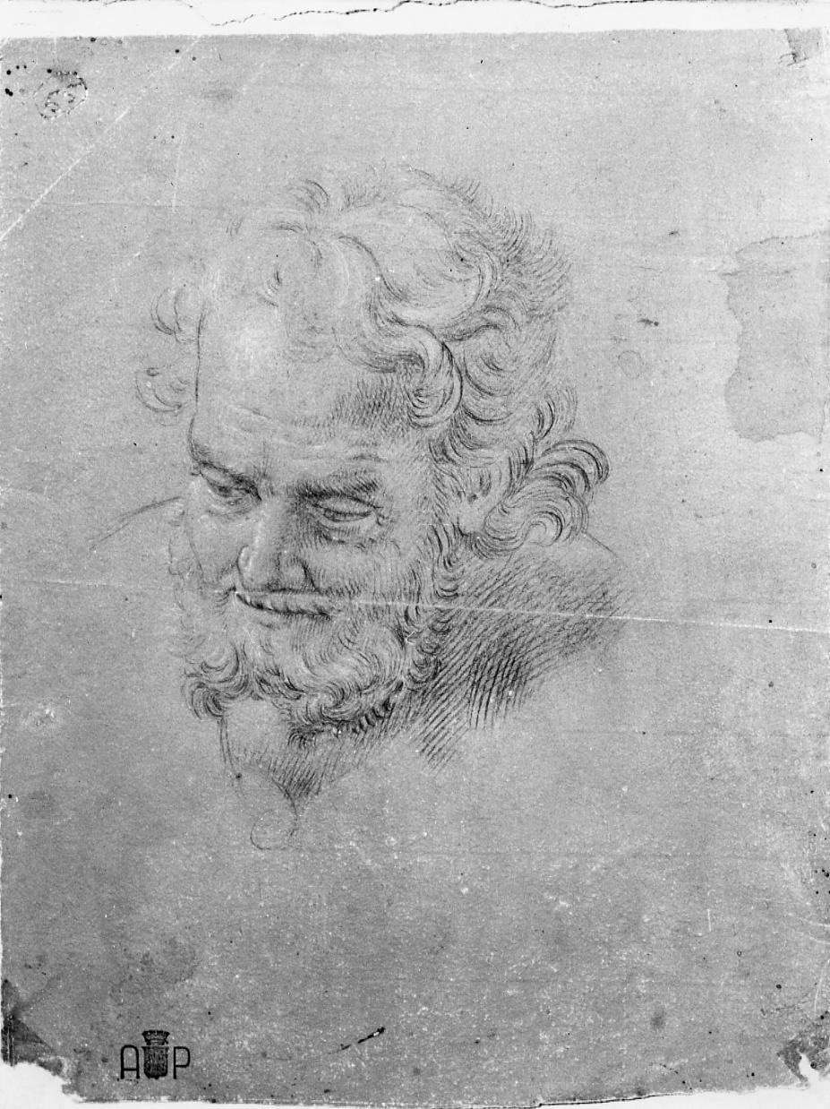testa di San Gioacchino (disegno) di Monti Nicola Antonio (sec. XVIII)