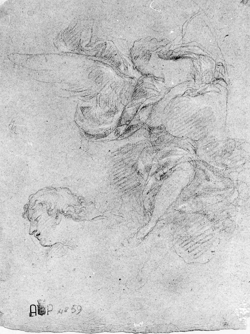 angelo; studi per una testa e un panneggio (disegno) di Nardini Tommaso (sec. XVIII)