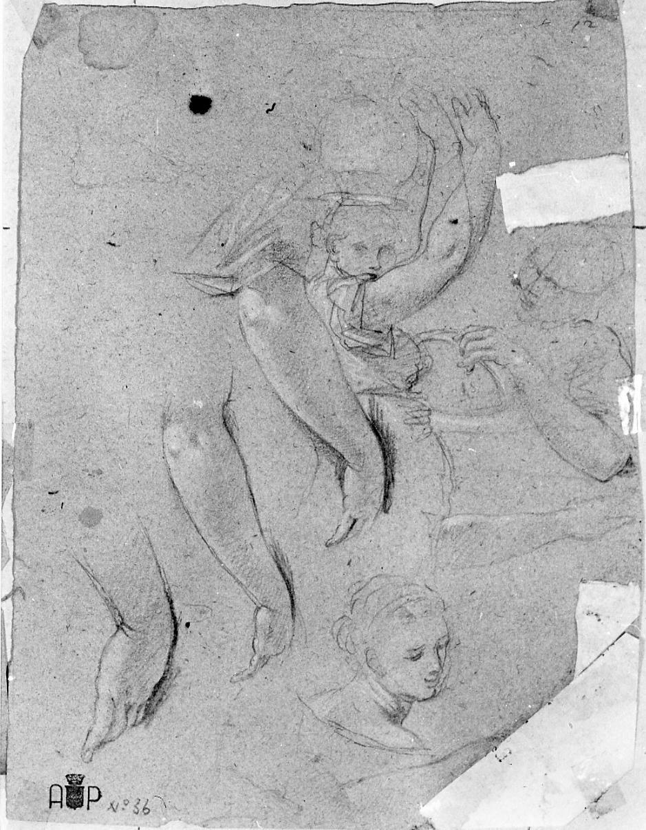 figure femminili; studi per panneggio (disegno) di Palucci Carlo (secc. XVII/ XVIII)