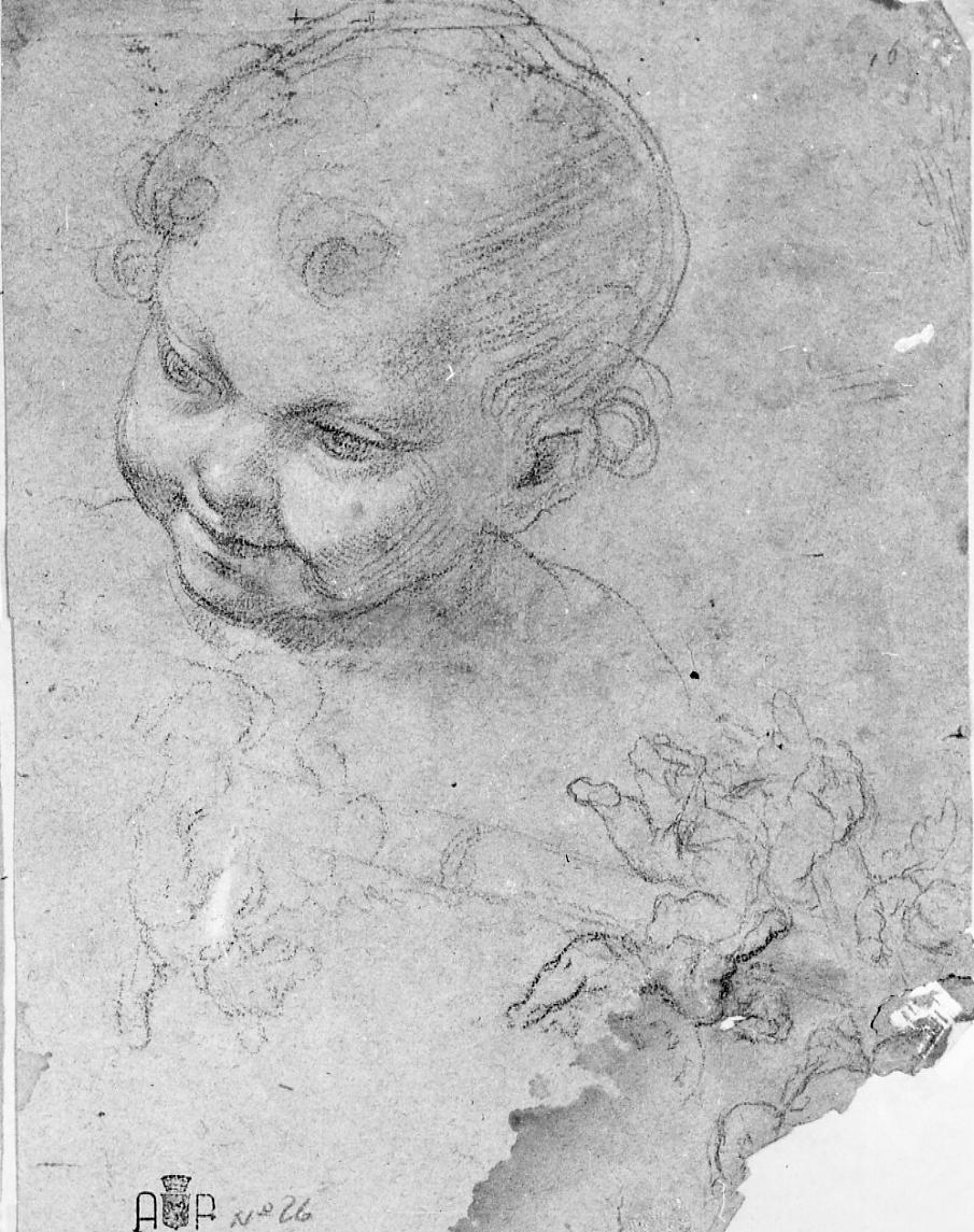 testa di bambino; angelo (disegno) di Monti Nicola Antonio (sec. XVIII)