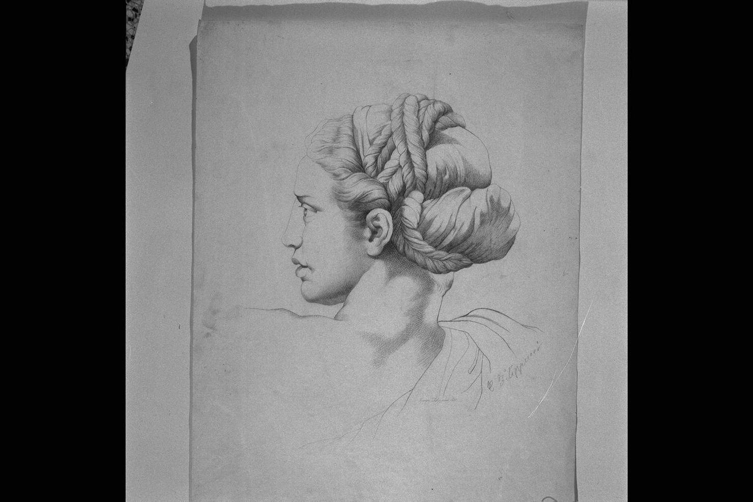 busto femminile (disegno) di Filippucci Cesare (ultimo quarto sec. XIX)