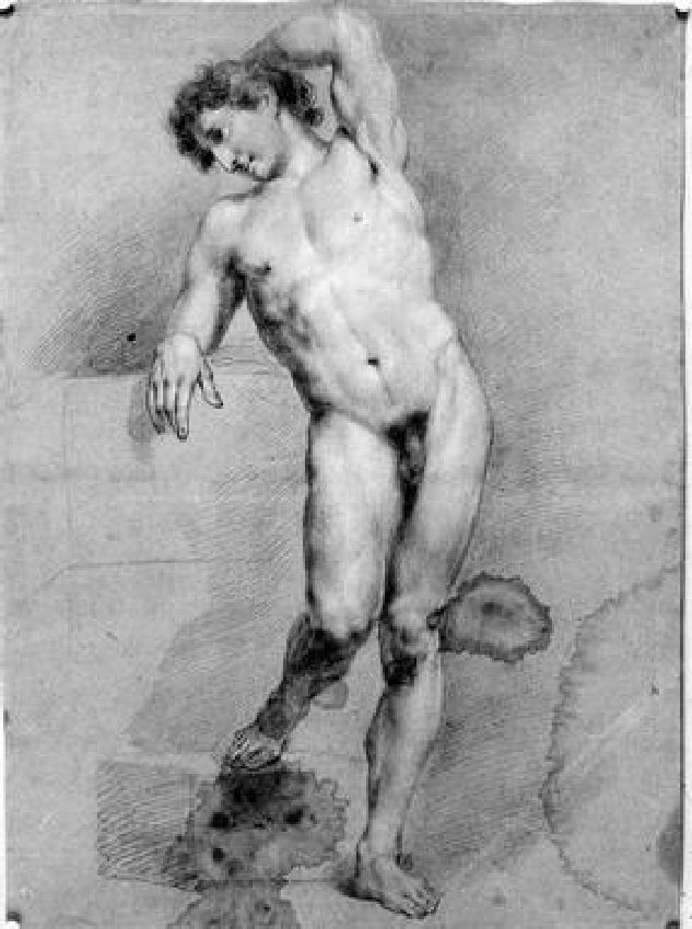 figura maschile nuda (disegno) di Cardi Francesco (sec. XIX)