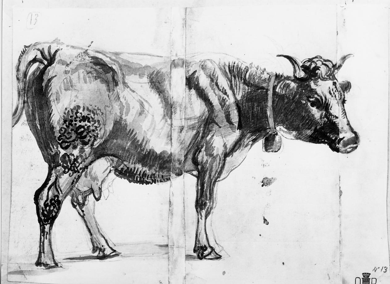 mucca; pecore (disegno) - ambito francese (sec. XIX)