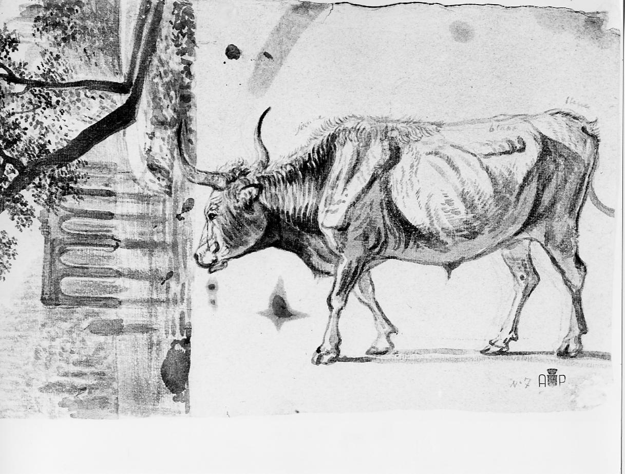 mucca, paesaggio; asini (disegno) - ambito francese (sec. XIX)