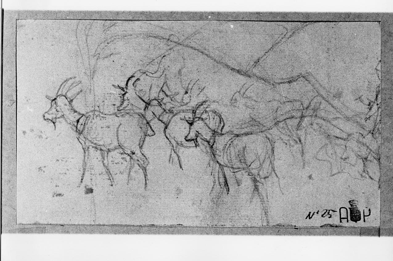 mucca; pecore (disegno) - ambito francese (sec. XIX)