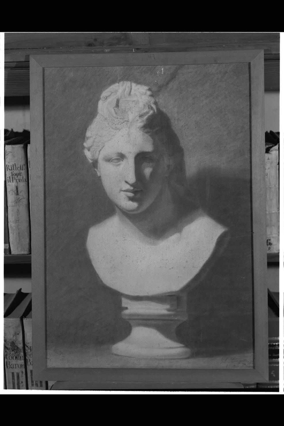 testa di Venere (disegno) di Giorgetti Guelfo (sec. XIX)