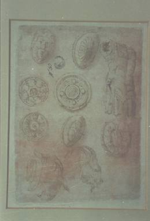 studio per scudi, carrozze e due teste di caprone (disegno) di Piccolpasso Cipriano (cerchia) (metà sec. XVI, sec. XVI)